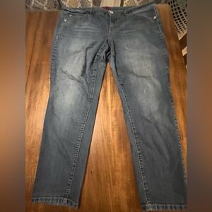 Torrid Dark Blue Skinny Jeans